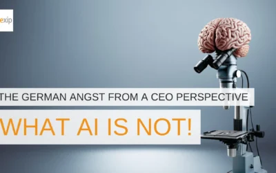 The German Angst from a CEO perspective: What AI is not!