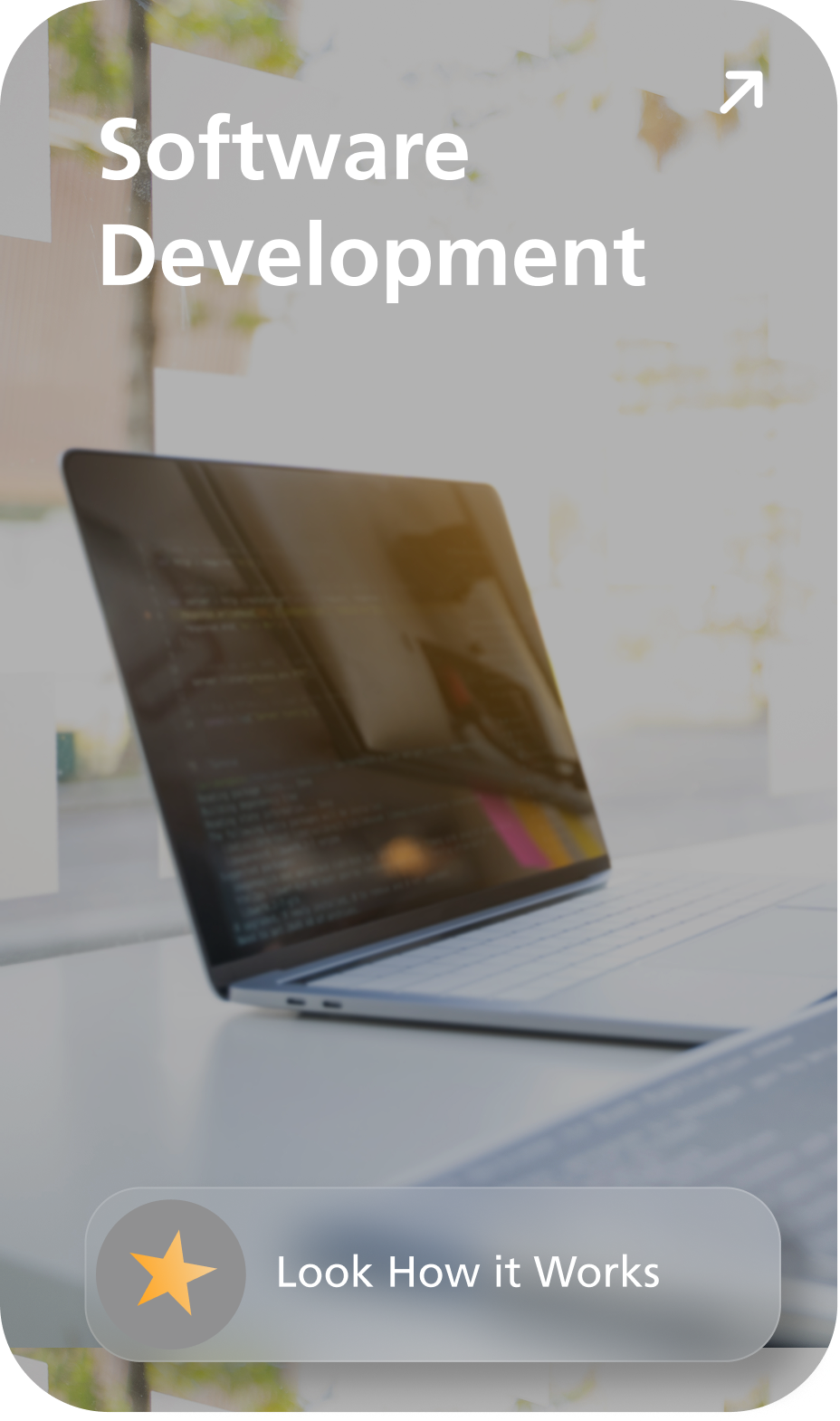 Software Development